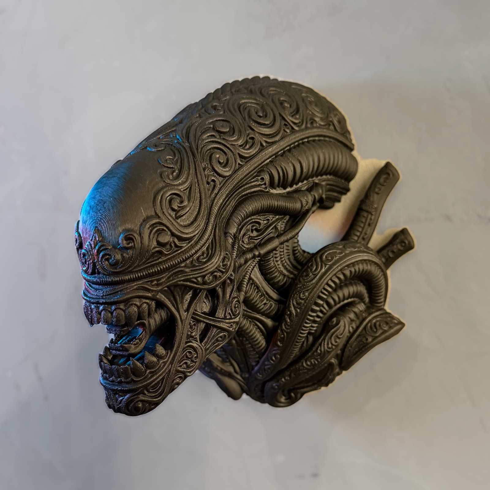 Le monstre en dentelle — autre vue